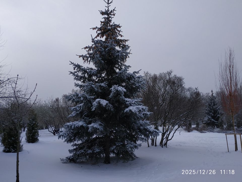 ��� ����������� ��� � ����� � �������� ��������� ����