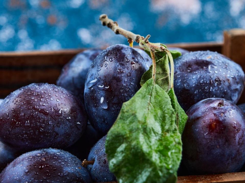 ������� ����� �����: �������� � ������������ ������