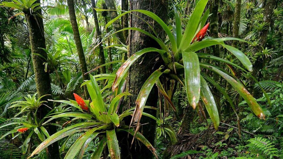 ��������� ������ ��������: ��� ��������