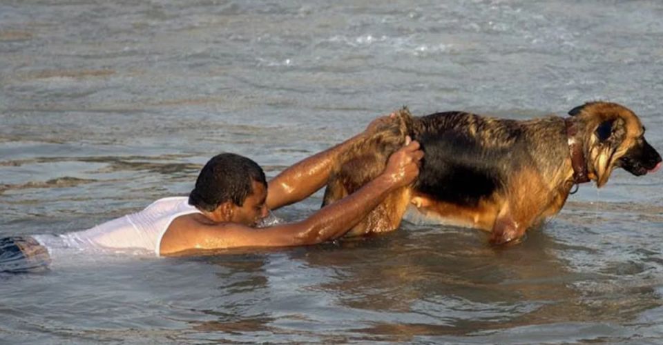 ��������� ���������: ������� � ��������, ������� ������ �� ������ �����