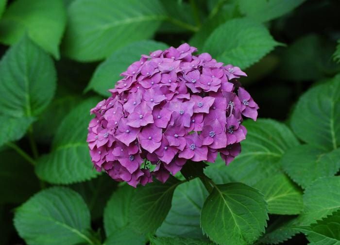 ��� �������� ������� �������� ���������: ��� ������� �����