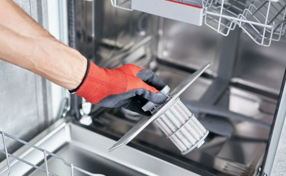 ��� ���� ������������ � ��������� �����������: ������� ������� ����� �� ������ ����