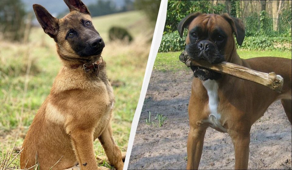 ��� ������ ��������� �������� ������ � ����� ��� ����� ����