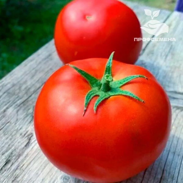 ����� �������: ��������� ������ �� ������� ���� � ������������� �������