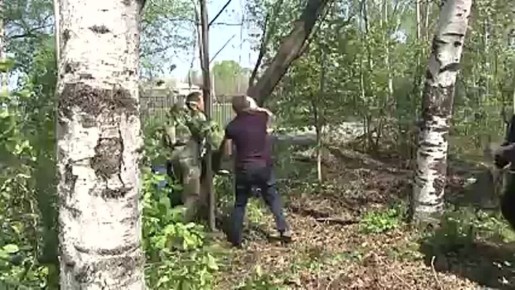           16 .  