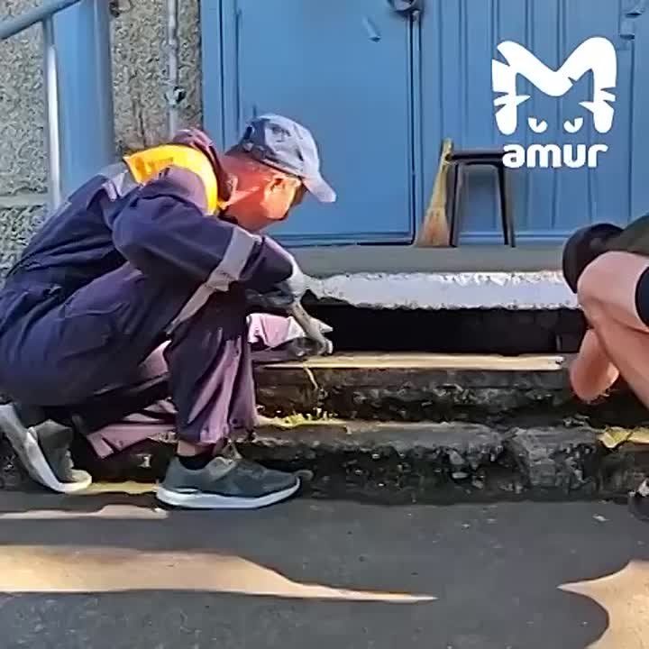 -      -  