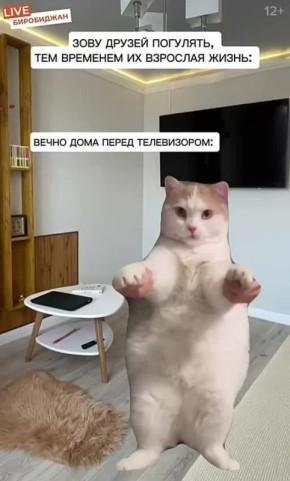    .     ,     