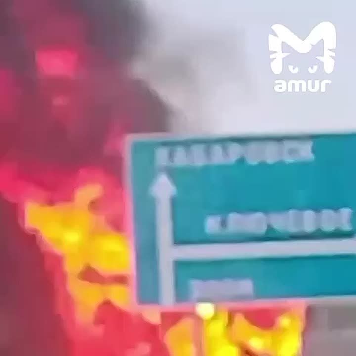  ,      ,   
