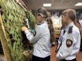 Маскировочные и противодроновые сети плели школьники в Биробиджане