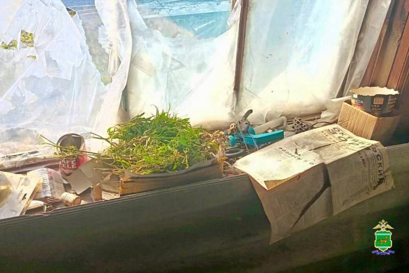 В Октябрьском районе сотрудники уголовного розыска задержали подозреваемого в незаконном хранении наркотических средств