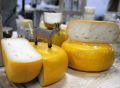 Тонкости хранения сыра: как сохранить свежесть и вкус вашего любимого лакомства
