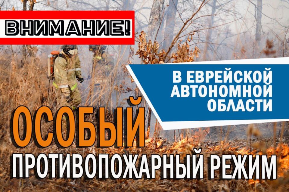 Инициатива МЧС России поддержана: на официальном сайте органа власти опубликовано Постановление о введении особого противопожарного режима