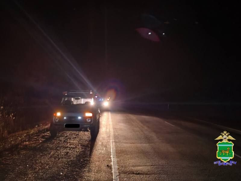 Под колесами отечественного автомобиля погиб пешеход, светоотражающих элементов на одежде которого не было