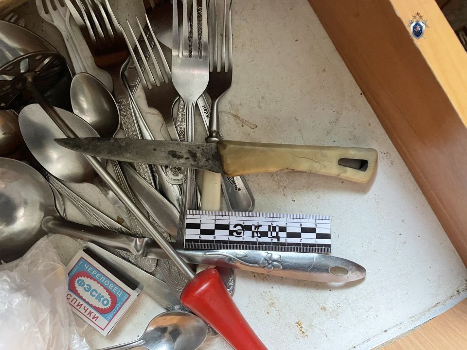 Жительница Кондратьевки осуждена за убийство своего знакомого