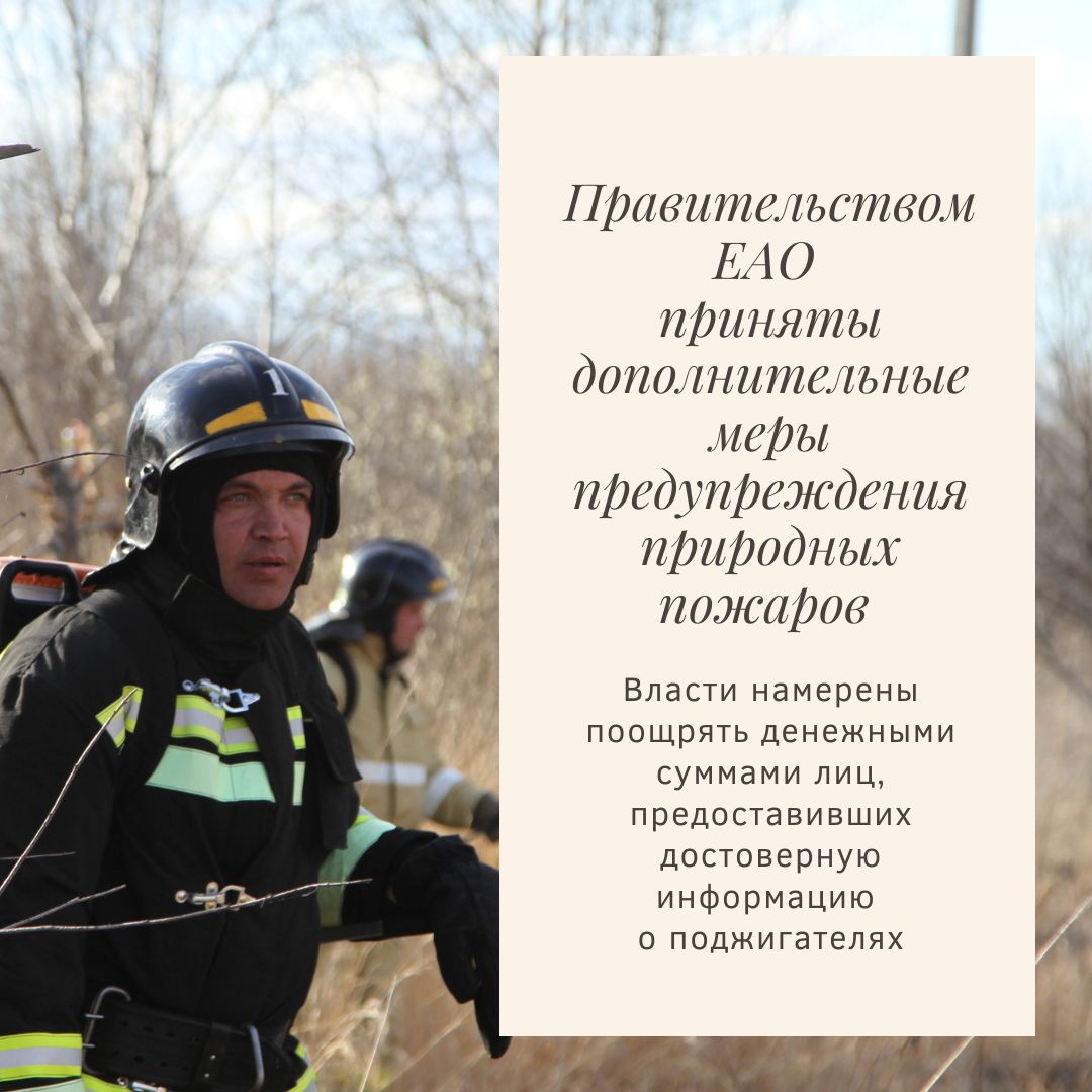 300000 рублей за помощь в поимке поджигателей 300000 рублей за помощь в поимке поджигателей