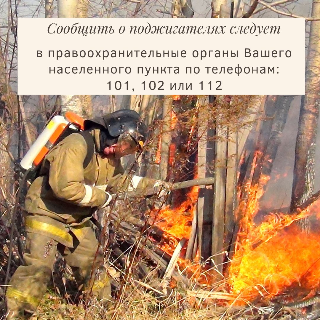 300000 рублей за помощь в поимке поджигателей 300000 рублей за помощь в поимке поджигателей