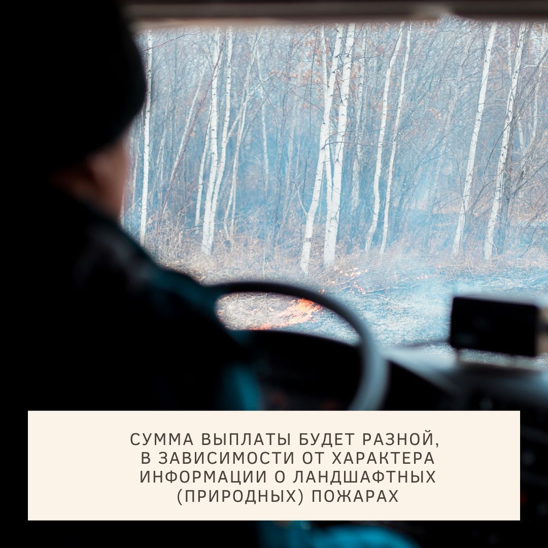 300000 рублей за помощь в поимке поджигателей 300000 рублей за помощь в поимке поджигателей