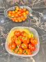 Летняя закуска из помидоров: быстро, просто и вкусно
