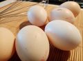 «Сладкая выпечка на скорую руку»: как приготовить шарлотку в мультиварке – простой  рецепт
