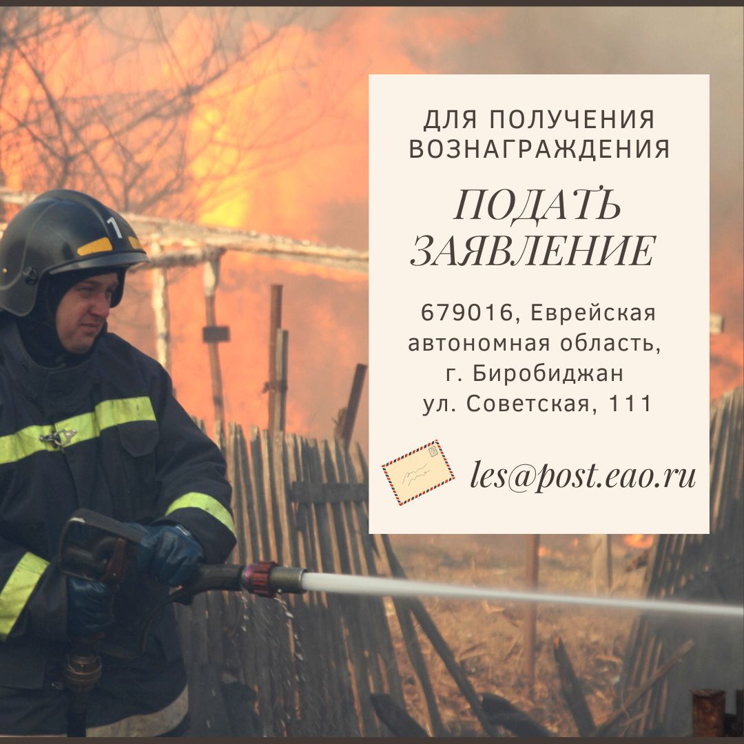 300000 рублей за помощь в поимке поджигателей 300000 рублей за помощь в поимке поджигателей