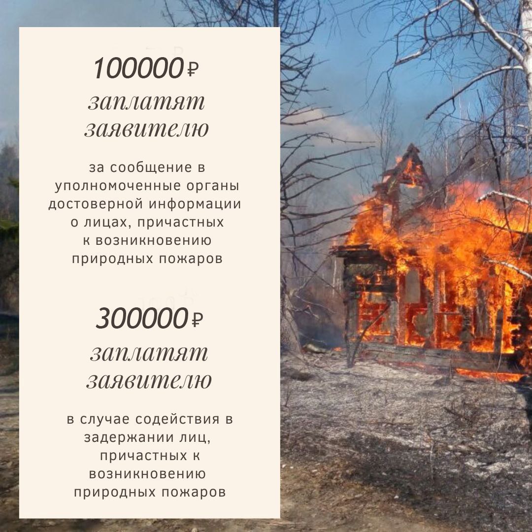 300000 рублей за помощь в поимке поджигателей 300000 рублей за помощь в поимке поджигателей