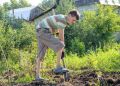 Как создать эффективный огород на небольшом участке: секреты успешного садоводства