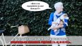 Когда счастье превращается в конфликт: история Риммы Алексеевны и ее домашних питомцев