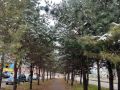 Доброе утро понедельника, Еврейская автономная область!