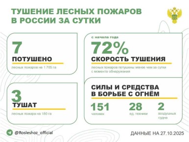 За прошедшие сутки в 3 регионах России потушили 7 лесных пожаров