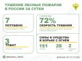За прошедшие сутки в 3 регионах России потушили 7 лесных пожаров