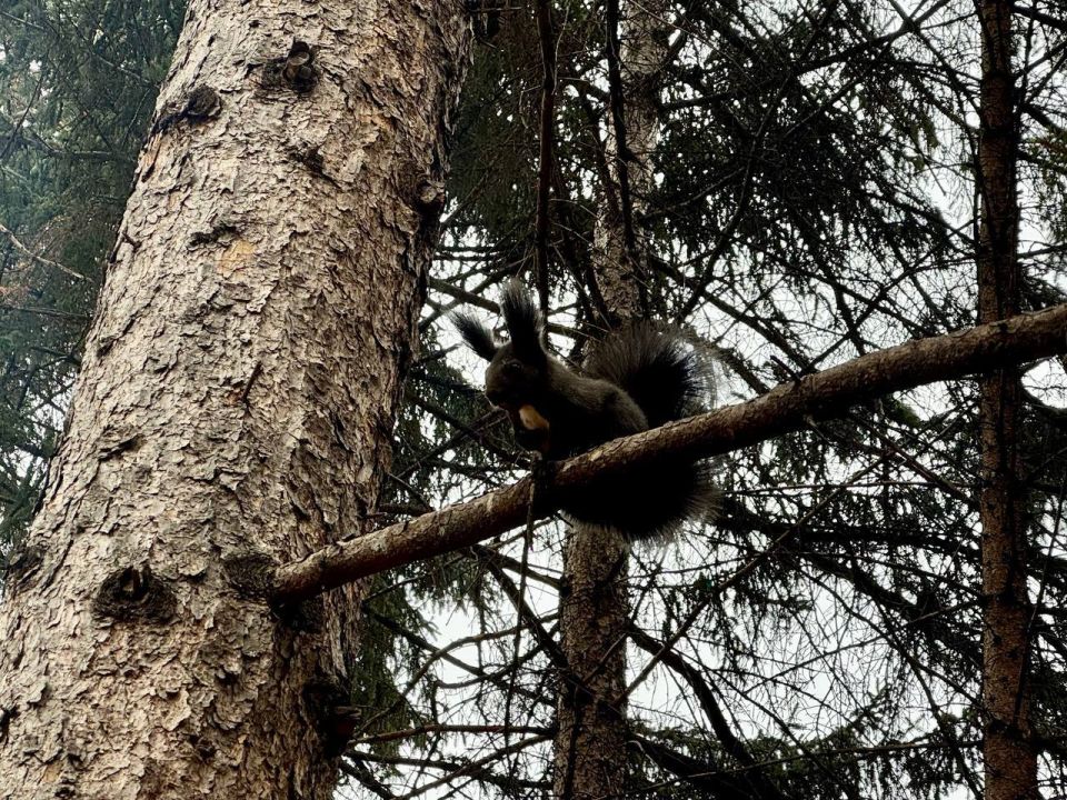Мы подготовили для вас астропрогноз на завтрашний день: