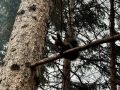 Мы подготовили для вас астропрогноз на завтрашний день: