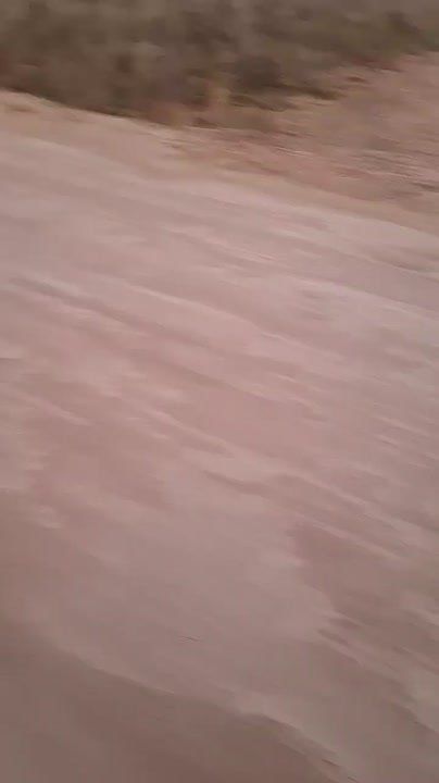 Обратная связь. Прокуратура Октябрьского района потребовала от администрации организовать пассажирские перевозки между селами Амурзет и Нагибово ЕАО