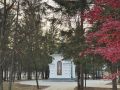 Доброе утро, Еврейская автономная область!