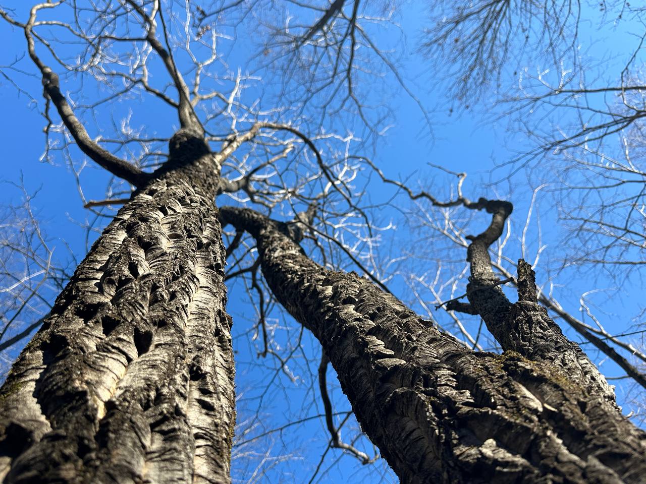 Доброе утро, биробиджанцы и жители области!