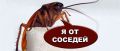 Как защитить свои права: соседи развели тараканов и что с этим делать