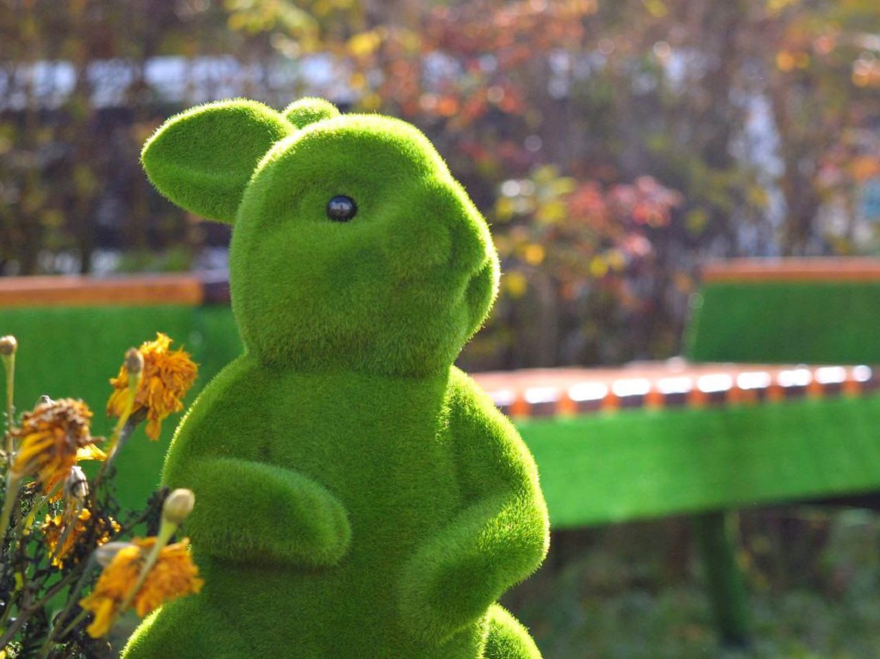 Победители грантовых проектов продолжают реализовывать свои инициативы в населённых пунктах ЕАО Победители грантовых проектов продолжают реализовывать свои инициативы в населённых пунктах ЕАО