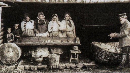 Капустная традиция: как селяне готовились к зиме