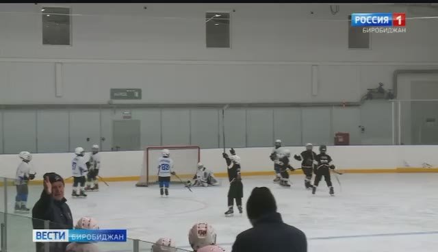 В Биробиджане за «Кубок Тигра» боролись юные хоккеисты
