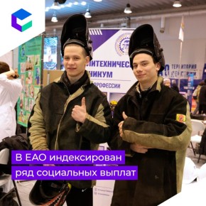 Депутаты Парламента ЕАО поддержали ряд социально направленных законопроектов