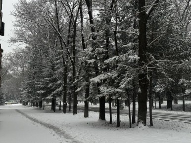 Мы подготовили для вас астропрогноз на завтрашний день: