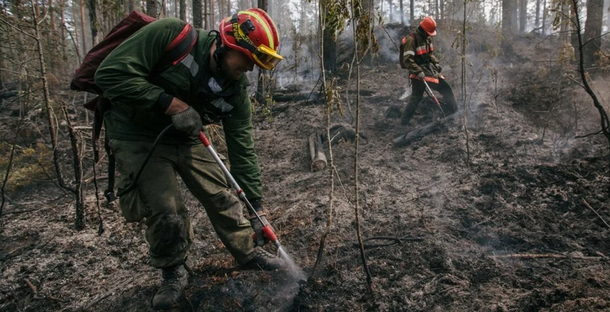 Что нужно знать каждому жителю ЕАО об особом противопожарном режиме
