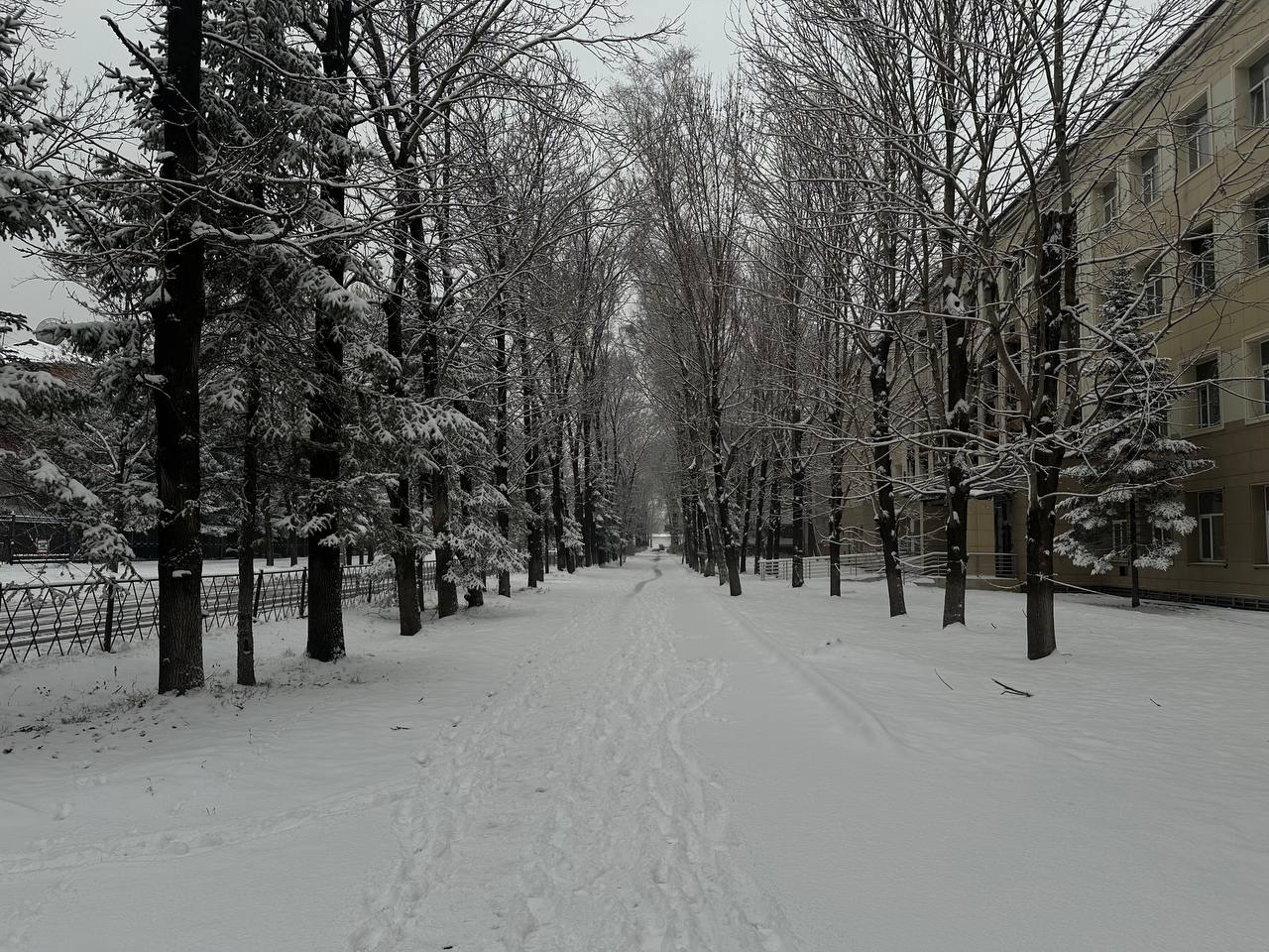 Настроение в Биробиджане — настоящее «джинг-белс» Настроение в Биробиджане — настоящее «джинг-белс»