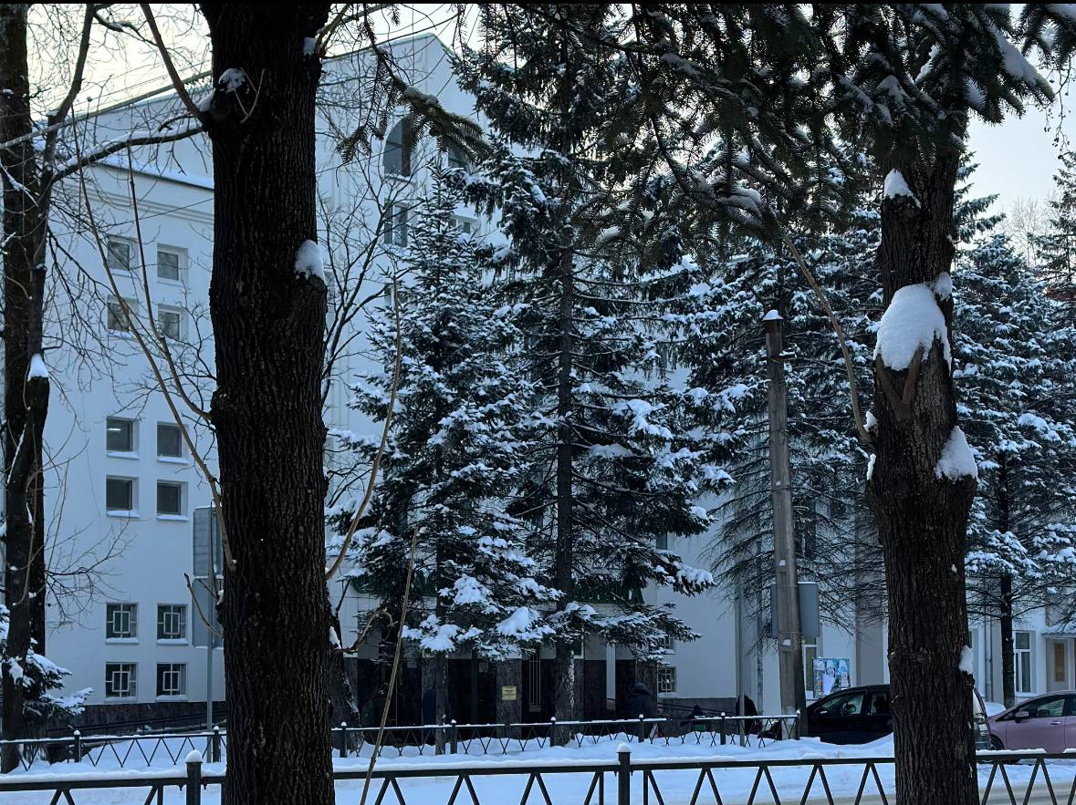 Настроение в Биробиджане — настоящее «джинг-белс»