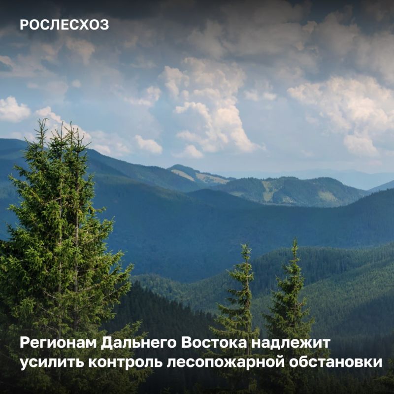 За прошедшие сутки в России на землях лесного фонда потушено 4 лесных пожара на площади 459 га