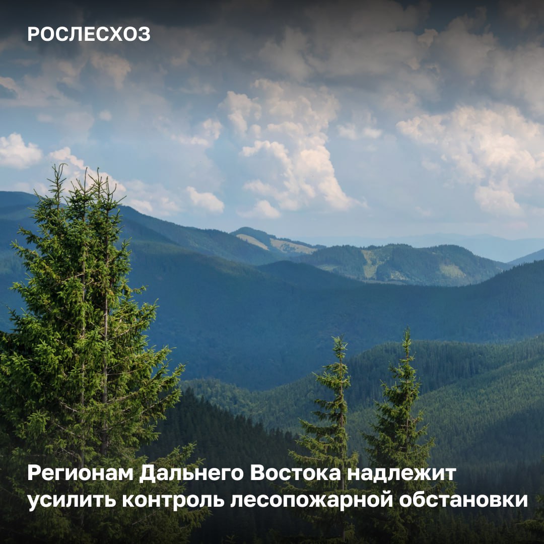 За прошедшие сутки в России на землях лесного фонда потушено 4 лесных пожара на площади 459 га