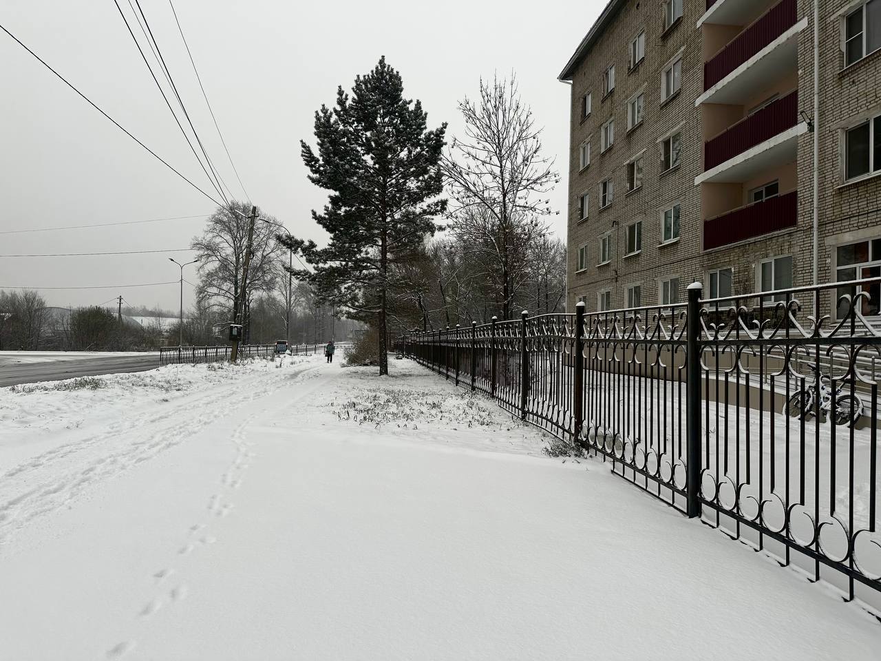 Настроение в Биробиджане — настоящее «джинг-белс» Настроение в Биробиджане — настоящее «джинг-белс»