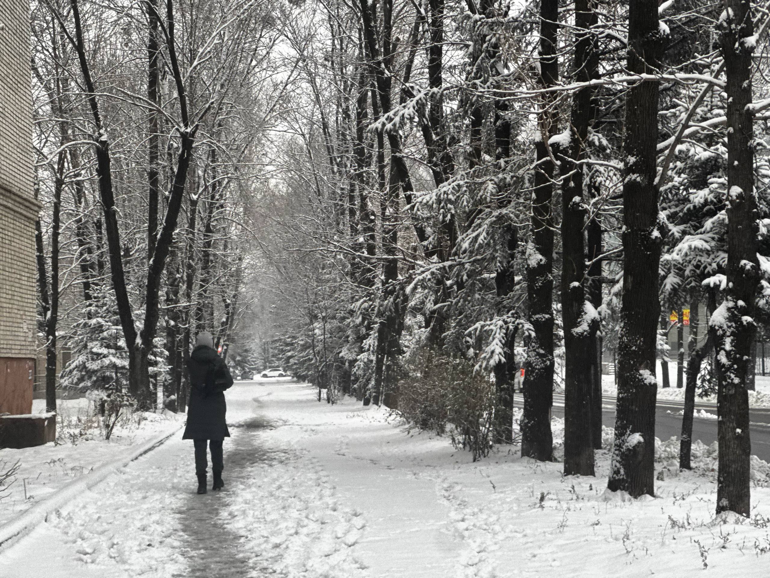 Настроение в Биробиджане — настоящее «джинг-белс» Настроение в Биробиджане — настоящее «джинг-белс»