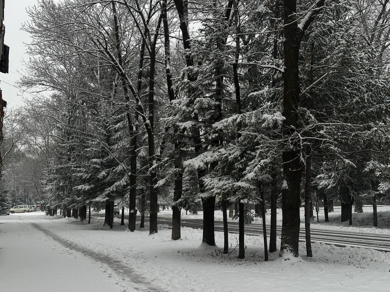 Настроение в Биробиджане — настоящее «джинг-белс» Настроение в Биробиджане — настоящее «джинг-белс»
