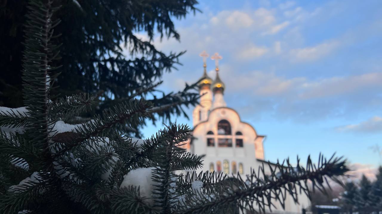 Доброе утро, самые лучшие подписчики!